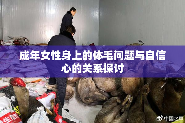 成年女性身上的体毛问题与自信心的关系探讨