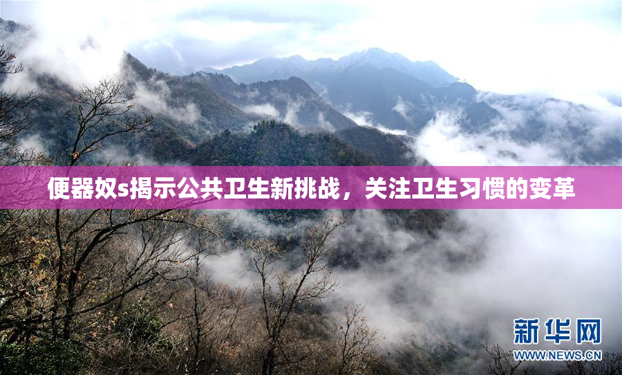 便器奴s揭示公共卫生新挑战，关注卫生习惯的变革