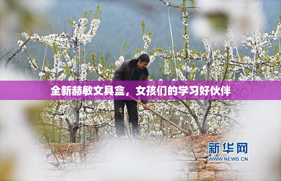 全新赫敏文具盒，女孩们的学习好伙伴