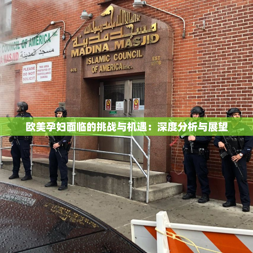 欧美孕妇面临的挑战与机遇：深度分析与展望