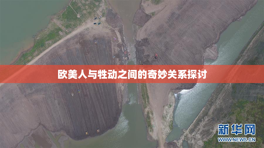 欧美人与牲动之间的奇妙关系探讨