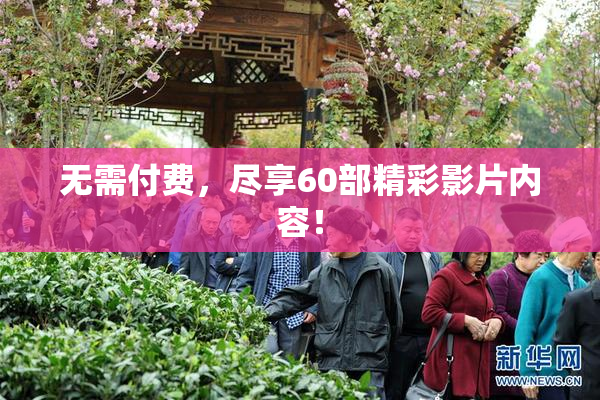 无需付费，尽享60部精彩影片内容！