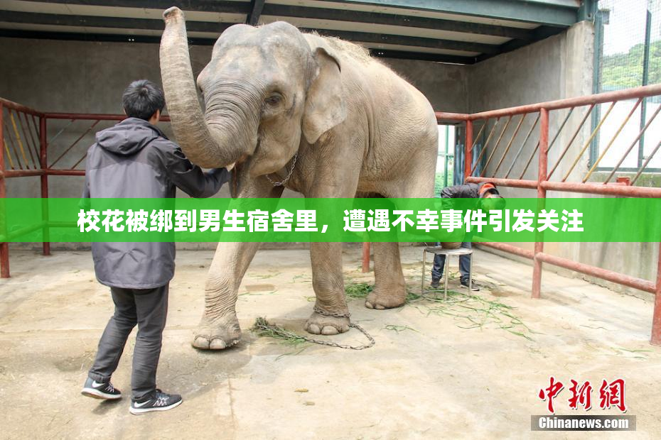 校花被绑到男生宿舍里，遭遇不幸事件引发关注