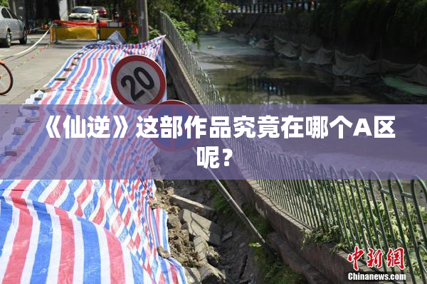 《仙逆》这部作品究竟在哪个A区呢？