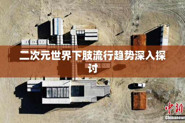 二次元世界下肢流行趋势深入探讨