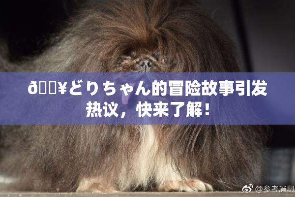 🔥どりちゃん的冒险故事引发热议，快来了解！