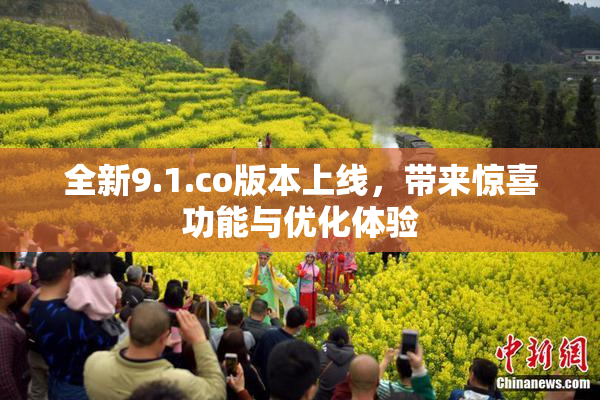 全新9.1.co版本上线，带来惊喜功能与优化体验