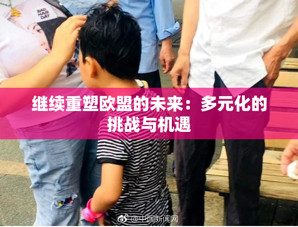 继续重塑欧盟的未来：多元化的挑战与机遇