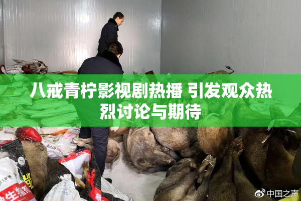 八戒青柠影视剧热播 引发观众热烈讨论与期待