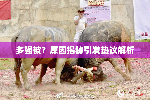 多强被？原因揭秘引发热议解析