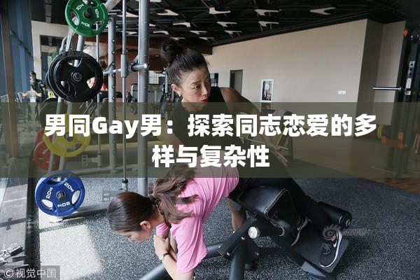 男同Gay男：探索同志恋爱的多样与复杂性