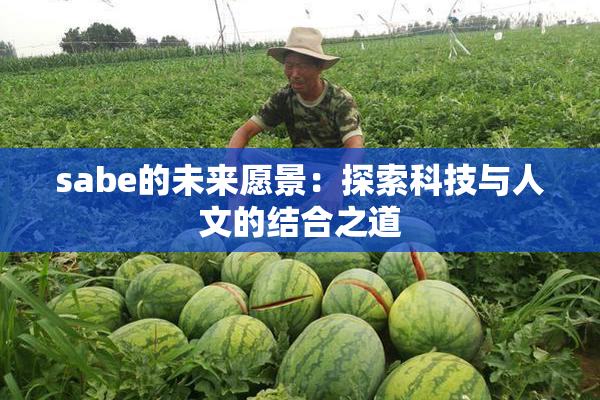 sabe的未来愿景：探索科技与人文的结合之道