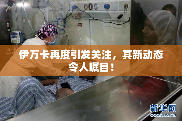 伊万卡再度引发关注，其新动态令人瞩目！