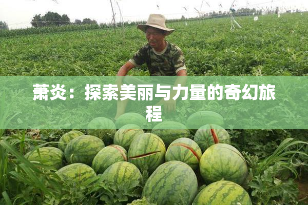 萧炎：探索美丽与力量的奇幻旅程