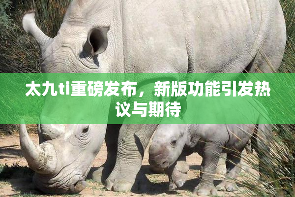 太九ti重磅发布，新版功能引发热议与期待