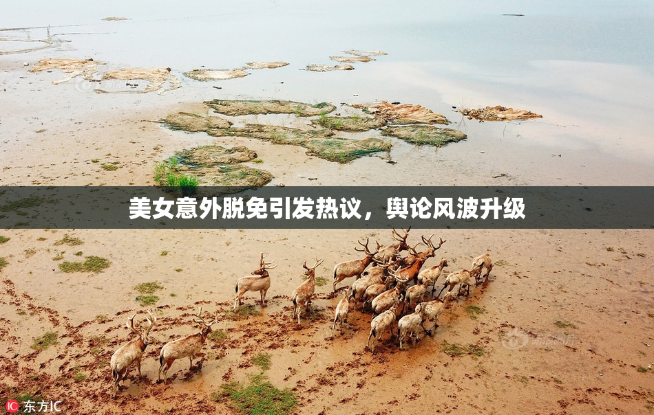 美女意外脱免引发热议，舆论风波升级