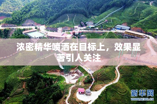 浓密精华喷洒在目标上，效果显著引人关注