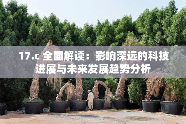 17.c 全面解读：影响深远的科技进展与未来发展趋势分析