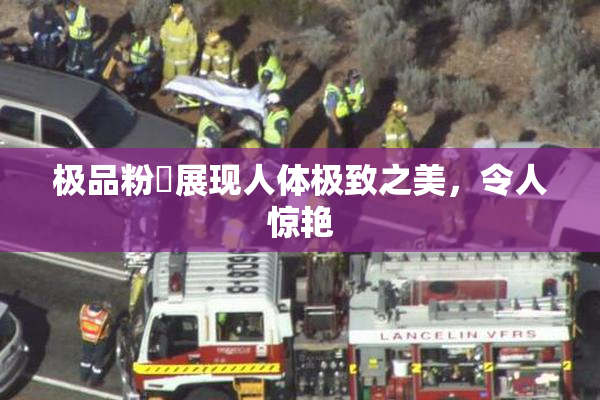 极品粉鮑展现人体极致之美，令人惊艳