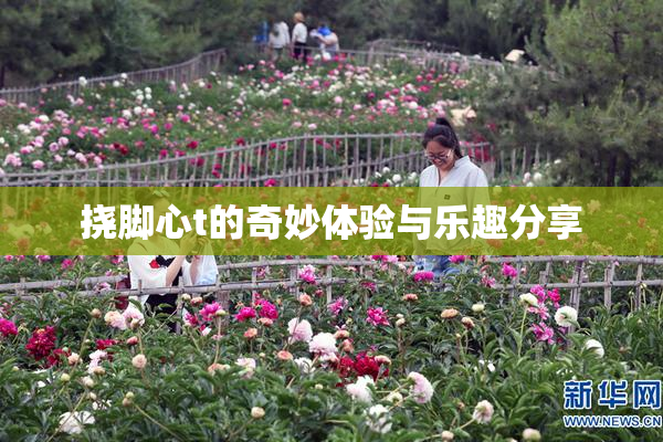 挠脚心t的奇妙体验与乐趣分享