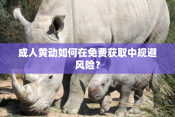 成人黄动如何在免费获取中规避风险？