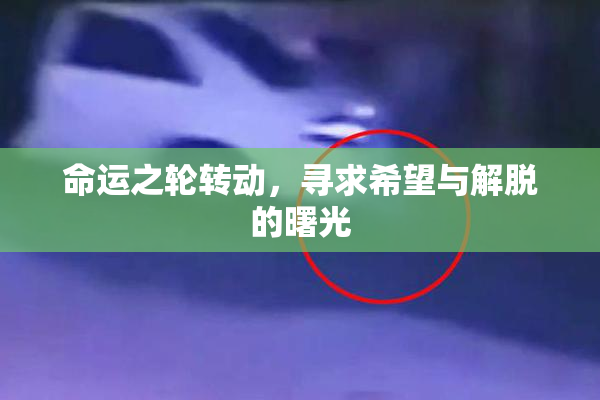命运之轮转动，寻求希望与解脱的曙光