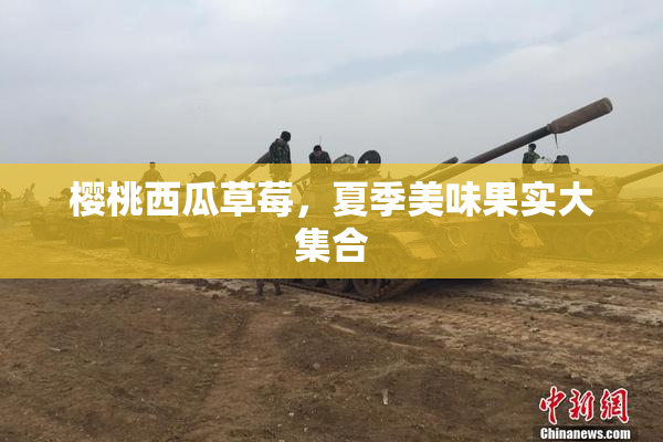 樱桃西瓜草莓，夏季美味果实大集合