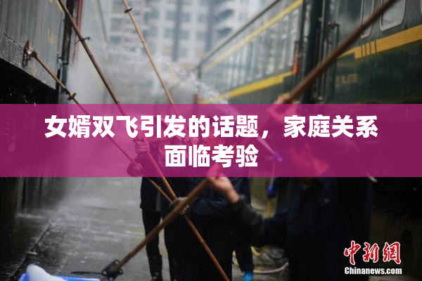 女婿双飞引发的话题，家庭关系面临考验