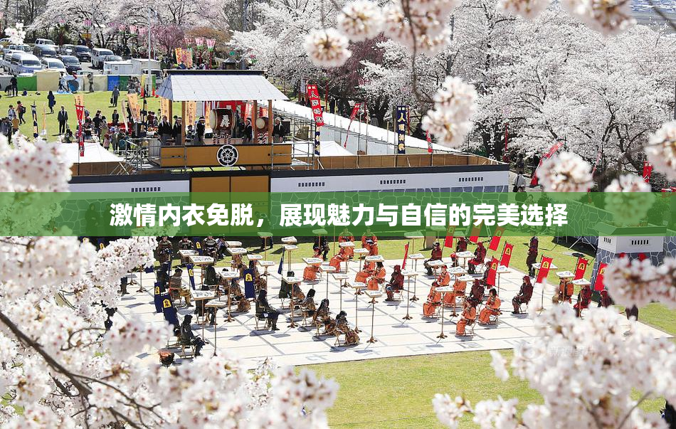 激情内衣免脱，展现魅力与自信的完美选择
