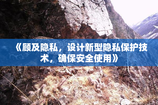 《顾及隐私，设计新型隐私保护技术，确保安全使用》