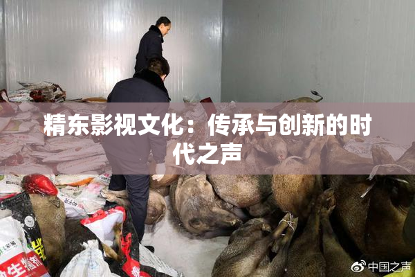 精东影视文化：传承与创新的时代之声
