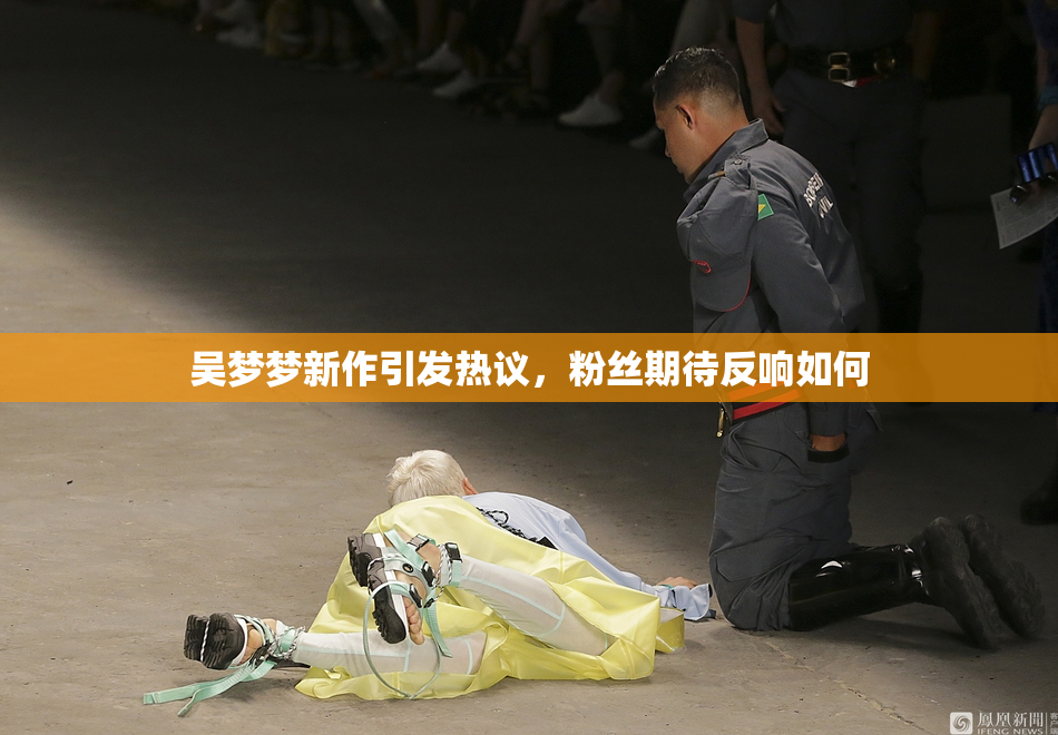 吴梦梦新作引发热议，粉丝期待反响如何