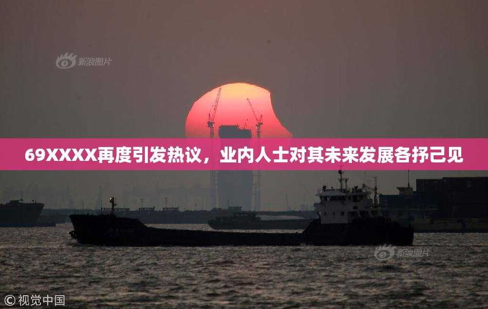 69XXXX再度引发热议，业内人士对其未来发展各抒己见