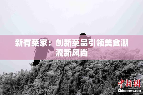 新有菜家：创新菜品引领美食潮流新风尚