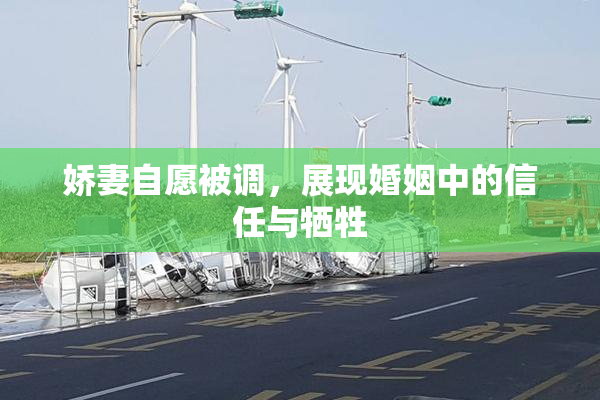 娇妻自愿被调，展现婚姻中的信任与牺牲