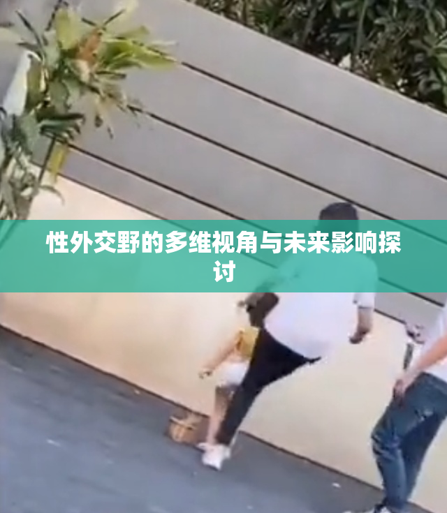 性外交野的多维视角与未来影响探讨
