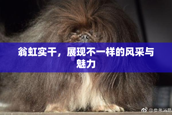 翁虹实干，展现不一样的风采与魅力