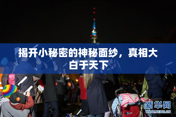 揭开小秘密的神秘面纱，真相大白于天下