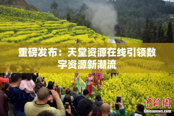 重磅发布：天堂资源在线引领数字资源新潮流