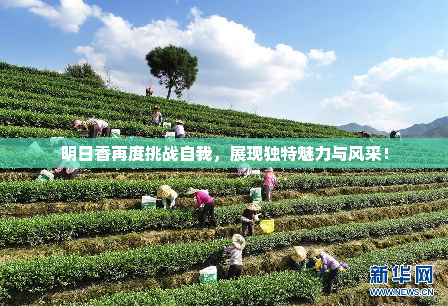 明日香再度挑战自我，展现独特魅力与风采！