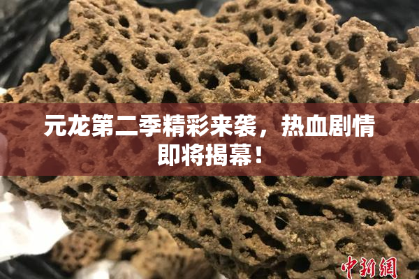 元龙第二季精彩来袭，热血剧情即将揭幕！