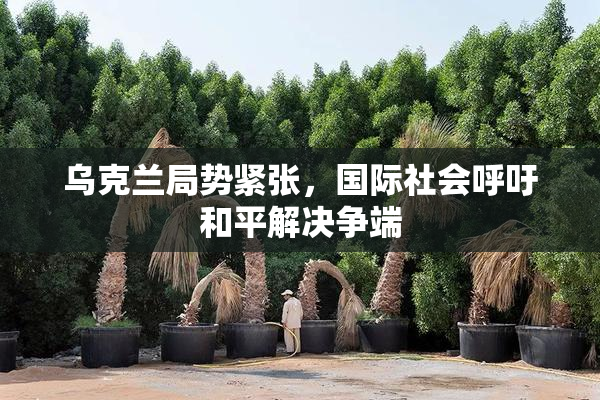 乌克兰局势紧张，国际社会呼吁和平解决争端