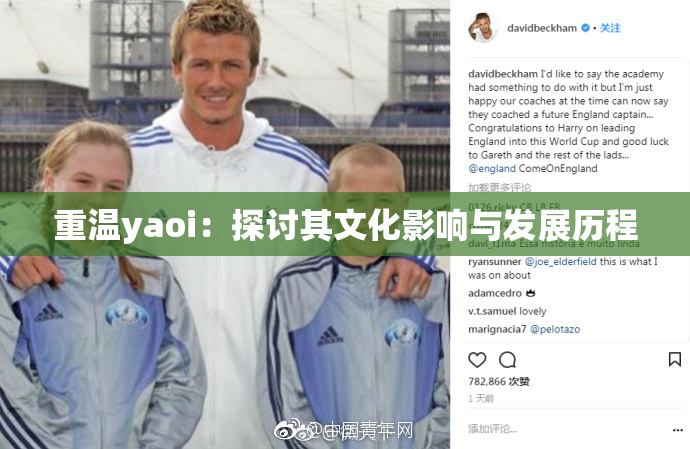 重温yaoi：探讨其文化影响与发展历程