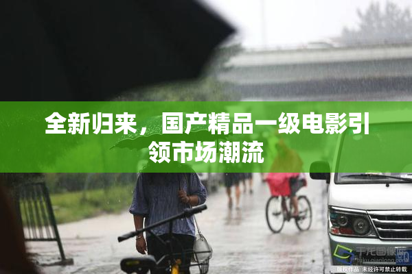 全新归来，国产精品一级电影引领市场潮流