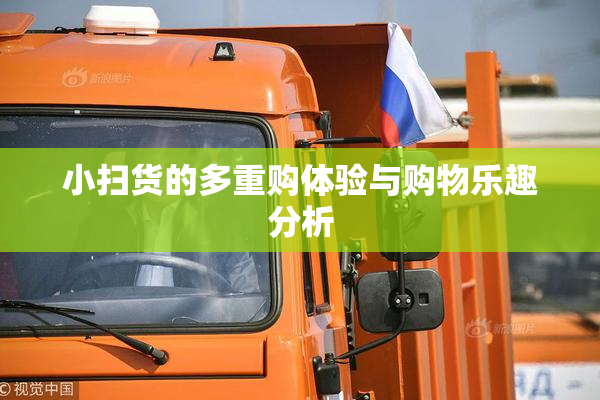 小扫货的多重购体验与购物乐趣分析