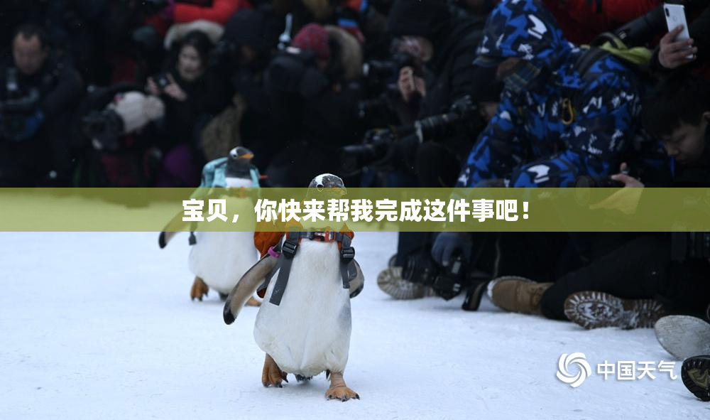宝贝，你快来帮我完成这件事吧！