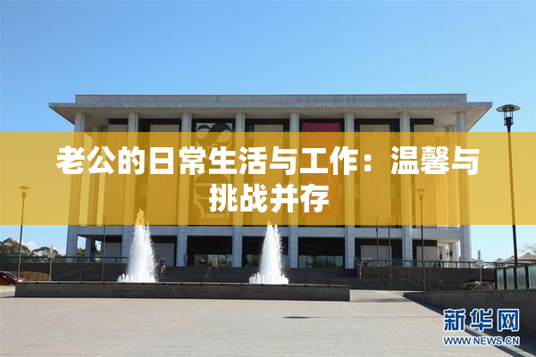老公的日常生活与工作：温馨与挑战并存