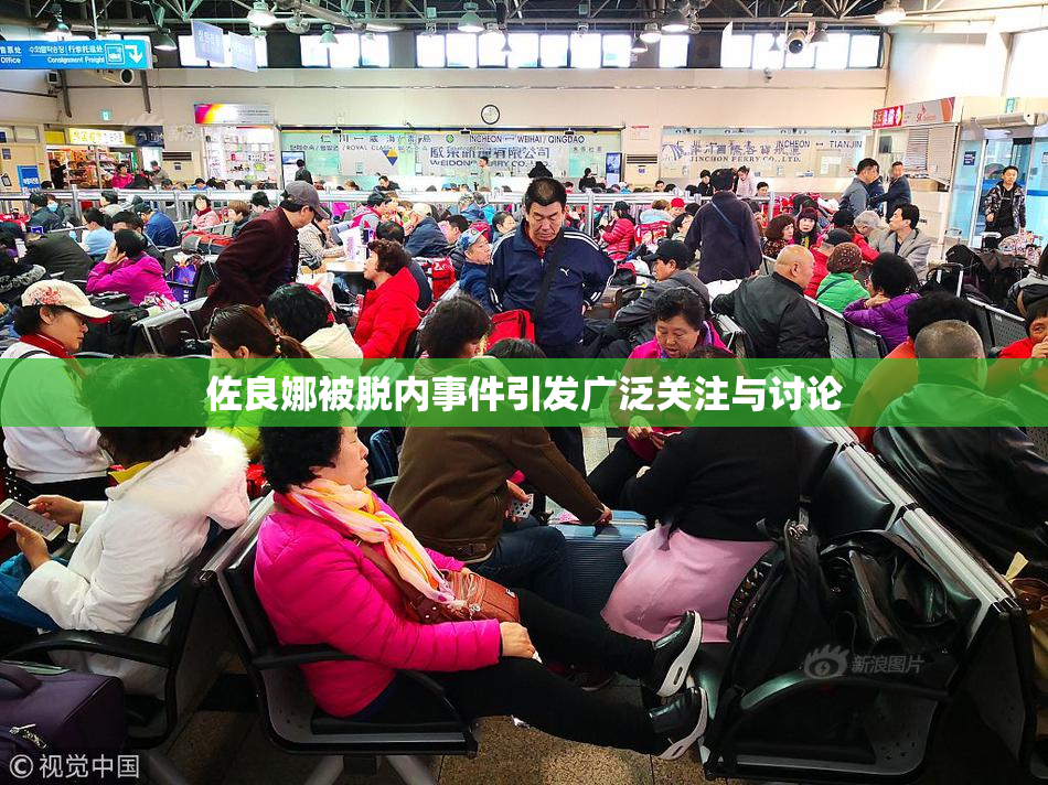 佐良娜被脱内事件引发广泛关注与讨论