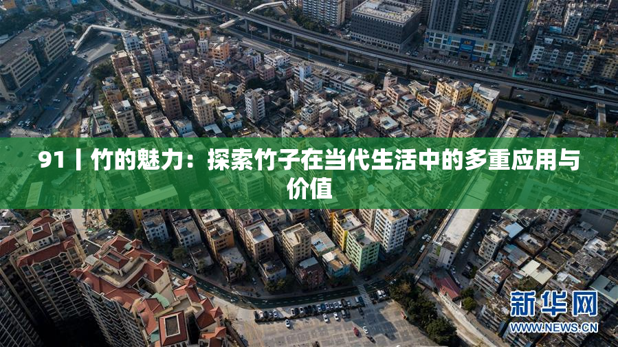 91丨竹的魅力：探索竹子在当代生活中的多重应用与价值