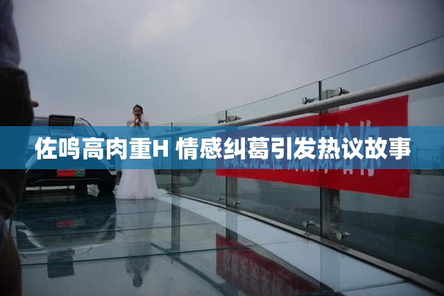 佐鸣高肉重H 情感纠葛引发热议故事